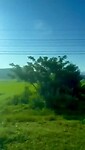 Goodmorning from the Train