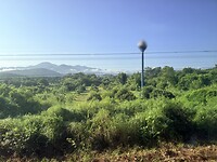 IMG_5939
