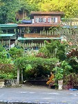 IMG_5934