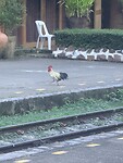 IMG_5933