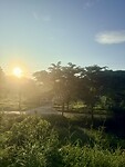 IMG_5929
