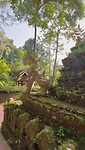 Beautifull Temoké