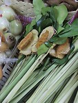 IMG_1342