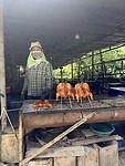 IMG_6060