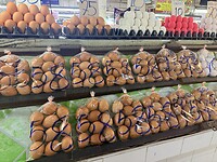 IMG_6022
