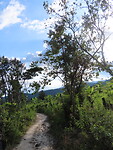 IMG_1409
