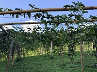 IMG_6170