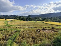IMG_6166