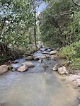 IMG_6161