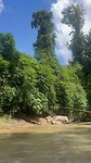 Bamboo Rafting 1