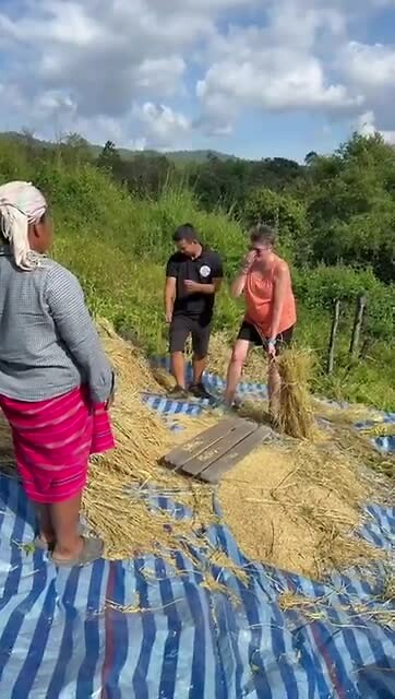 Helling with the Rice