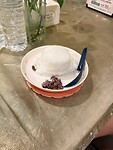 IMG_6296