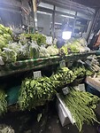 IMG_9195