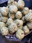 IMG_9194