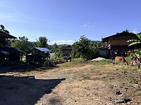 IMG_6217