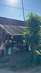 Karen Village
