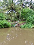IMG_1562