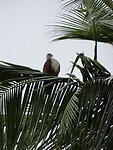 IMG_1560