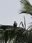 IMG_1558