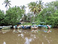 IMG_1557