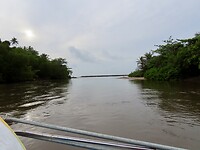 IMG_1556
