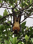 IMG_1554