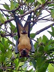 IMG_1552