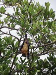 IMG_1549