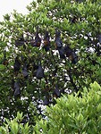 IMG_1545