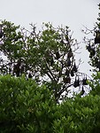 IMG_1542