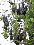 IMG_1543