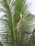 IMG_1539