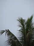 IMG_1538
