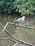 IMG_1531
