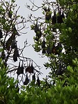 IMG_1541