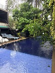 IMG_6318