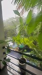 Regenachtig Negombo