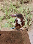 IMG_1828