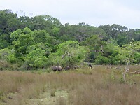 IMG_1817