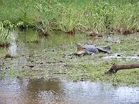 IMG_1815