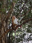 IMG_1810