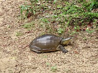 IMG_1803
