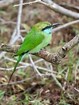 IMG_1802