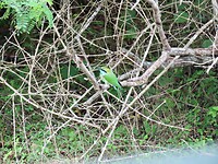 IMG_1801