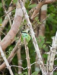 IMG_1799