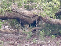 IMG_1653