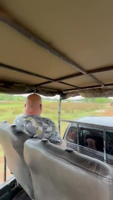 Om The Road: Wilpattu NP