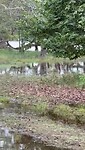 Nature!!!