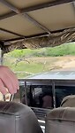 Wilpattu National Park, Sri Lanka