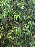 IMG_6593